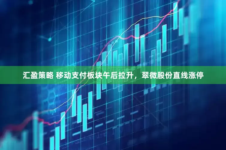 汇盈策略 移动支付板块午后拉升，翠微股份直线涨停