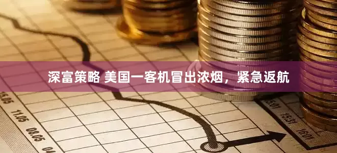 深富策略 美国一客机冒出浓烟，紧急返航