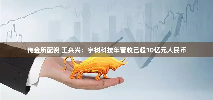 传金所配资 王兴兴：宇树科技年营收已超10亿元人民币