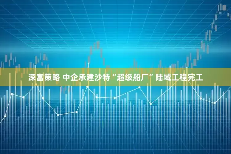 深富策略 中企承建沙特“超级船厂”陆域工程完工