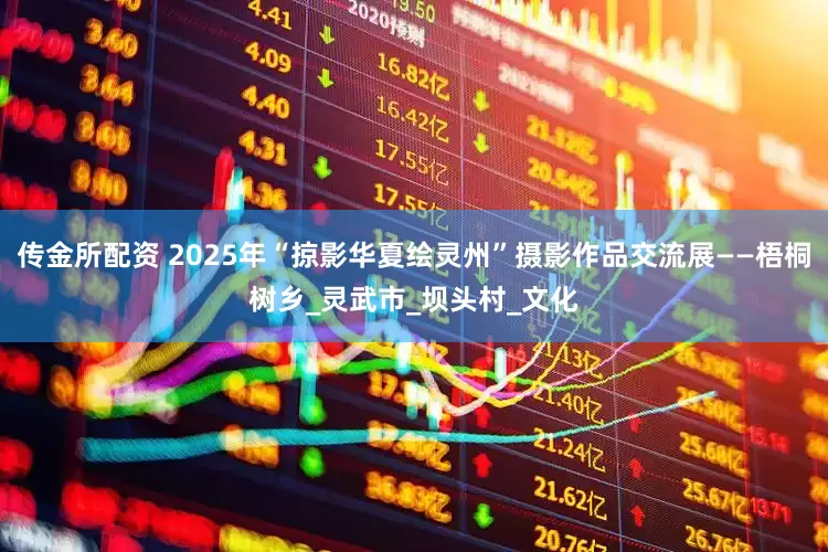 传金所配资 2025年“掠影华夏绘灵州”摄影作品交流展——梧桐树乡_灵武市_坝头村_文化
