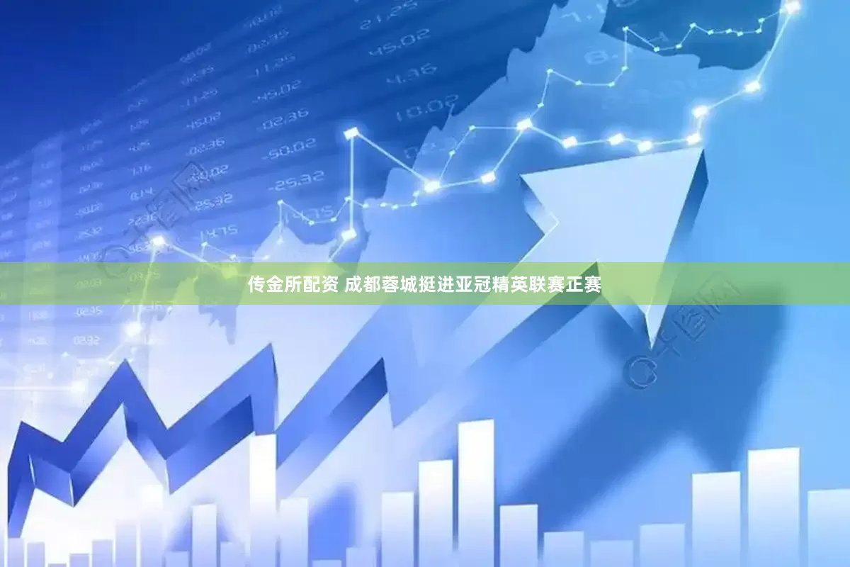 传金所配资 成都蓉城挺进亚冠精英联赛正赛